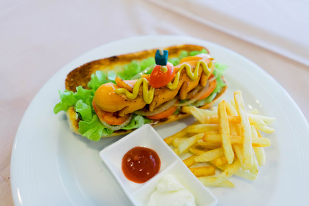 Hot Dog with fresh vegetables and french fries.の写真素材