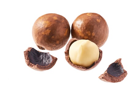 Purified and unrefined macadamia nut isolated on white backgroundの写真素材