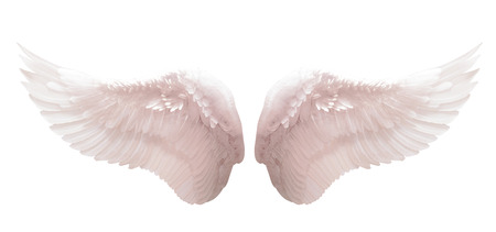 White angel wingの写真素材