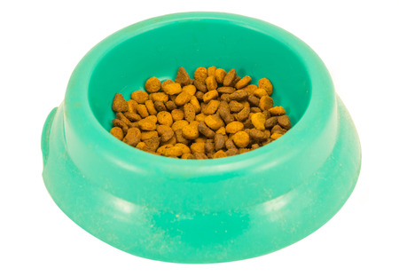 cat food green box isolated in white