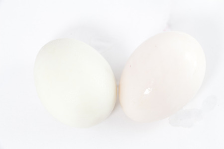 Organic Duck eggs vs Chicken eggs and preserved eggの写真素材