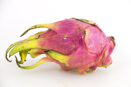 Freash Dragon Fruit form Thailand Group Shotの写真素材