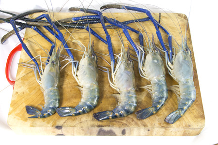 Fresh prawn from riverの写真素材