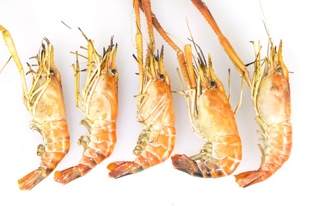 river prawn grilled isolated on white backgroundの写真素材