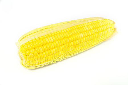 Fresh Yellow Organic Asia Corn isolatedの写真素材