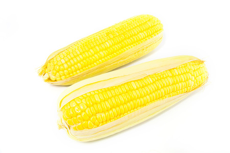 Fresh Yellow Organic Asia Corn isolatedの写真素材