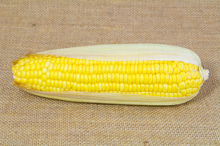 Fresh Yellow Organic Asia Corn isolatedの写真素材