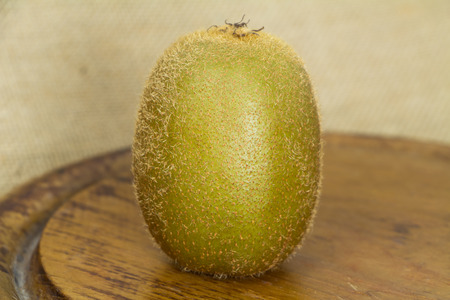 Fresh Kiwi fruit  in studio Shootingの写真素材