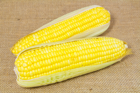 Fresh Yellow Organic Asia Corn isolatedの写真素材