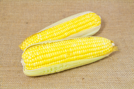 Fresh Yellow Organic Asia Corn isolatedの写真素材