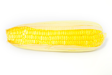 Fresh Yellow Organic Asia Corn isolatedの写真素材
