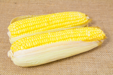 Fresh Yellow Organic Asia Corn isolatedの写真素材