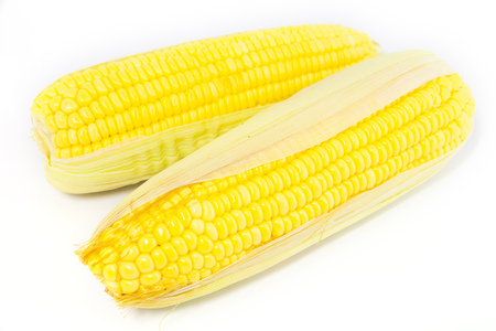 Fresh Yellow Organic Asia Corn isolatedの写真素材