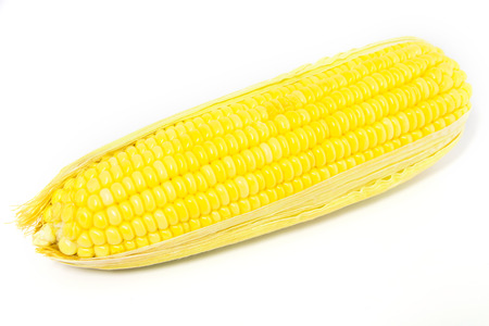 Fresh Yellow Organic Asia Corn isolatedの写真素材