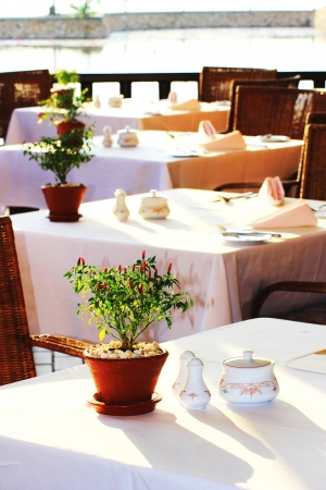 Thailand tree on the restaurant table is very beautiful の写真素材