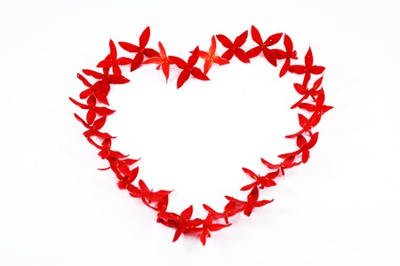 Setting west indian jasmine in a heart shape の写真素材