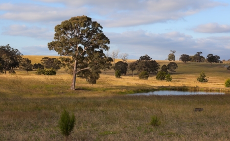 A rural landscape  Country New South Wales  Australiaの写真素材