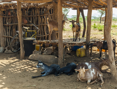 Traditional tsemay houses. Small village in tsemay territory near Weita. Omo Valley. Ethiopiaのeditorial素材