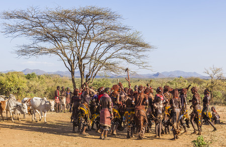 TURMI, OMO VALLEY, ETHIOPIA - DECEMBER 30, 2013: Unidentified group of Hamar women dance at bull jumping ceremony. Jumping of the bull is a rite of passage into manhood in some Omo Valley tribes.のeditorial素材