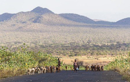OMO VALLEY. ETHIOPIA - JANUARY 2, 2014: Unidentified herders on highway in the evening.のeditorial素材