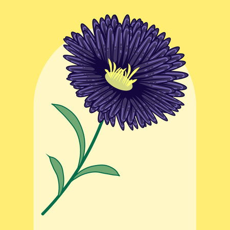 beautiful dark violet aster flower illustration for wall art, packaging, label, poster, card, invitationのイラスト素材