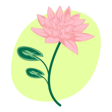july birth month flower, water lily illustration for wall art, packaging, label, poster, card, invitationのイラスト素材