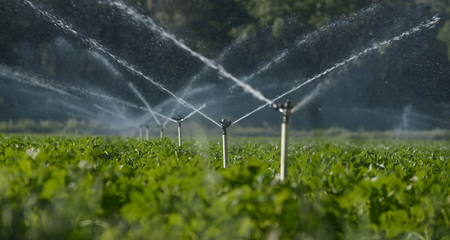 Water sprinklers irrigating a field.の写真素材