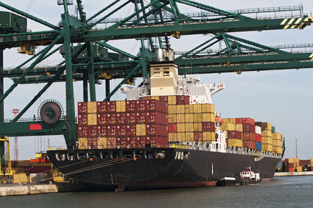 container ship unloading in a harborの写真素材