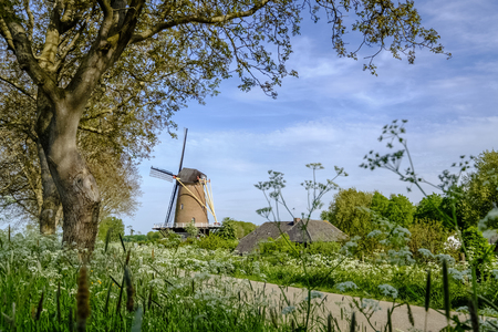 traditional Dutch windmill in a summer landscape with a blue sky and white cloudsの写真素材