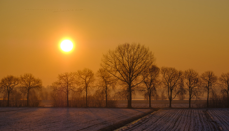 sun rises behind a row of trees and illuminates snowy fields with a departing flock of geese over the sunの写真素材