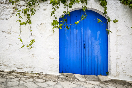 big blue door and a white wall where ivy grows on the island of Crete Greeceの写真素材