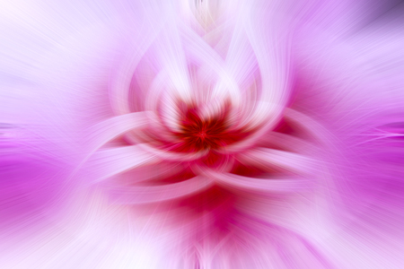 abstract color background from waving and twisted light fibersの写真素材