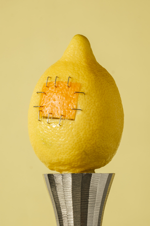 yellow lemon with sutures stands on an iron candlestick displaying food manipulation conceptの写真素材