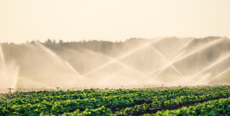 Water sprinklers watering the field to grow the crop betterの写真素材