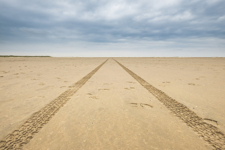 car tires print in the sand on a deserted cloudy beach and leave tire tracks behind towards the horizonの写真素材