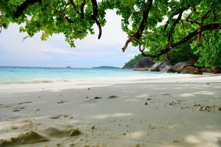 beach and sea at Tachai island at Khao Lak  Thailandの写真素材