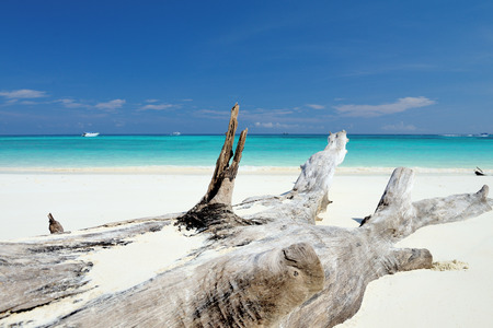 White sand beach of Andaman Sea in Tachai island - Thailandの写真素材