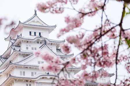 himeji castle surrounded by cherry blossom. This is a UNESCO world heritage site.のeditorial素材