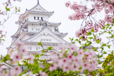 himeji castle surrounded by cherry blossom. This is a UNESCO world heritage site.のeditorial素材