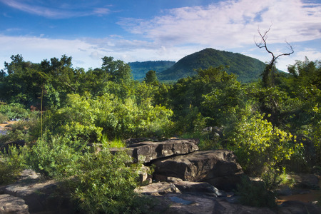 amazing asia tropical landscape forest mountain viewの写真素材
