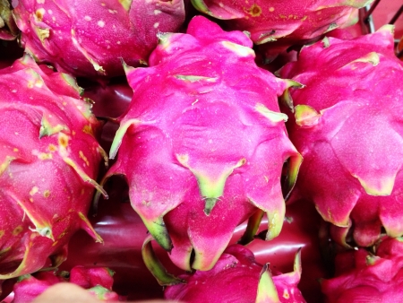 Dragon fruitsの素材