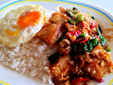 Pad gra pao   Spicy fried pork with basil leaves with fried eggの素材
