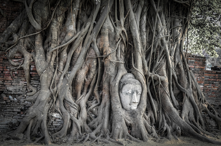 Ayuthaya Historical Park, Thailandの写真素材