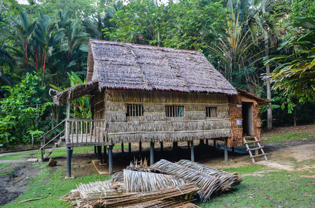 Kinabalu National Park, Sabah, Malaysiaの写真素材