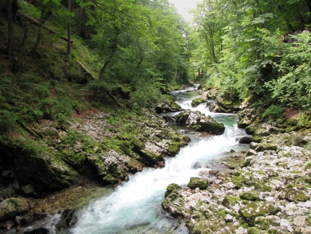 Vintgar Canyonの写真素材