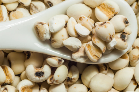 millet rice close up on white Ceramic spoonの写真素材