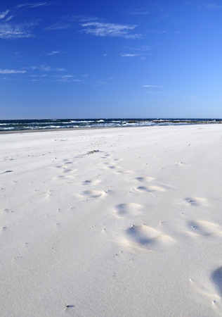 Sand, beach, sea, sky .. Baltic Seaの写真素材
