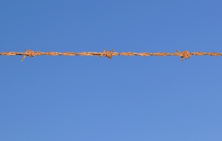 Old barbed wire against the blue sky.の写真素材
