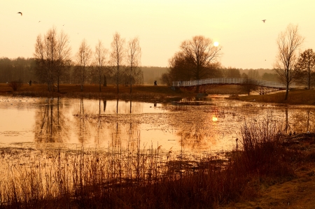 Natural lake on sunset の写真素材