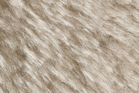 White fur background 